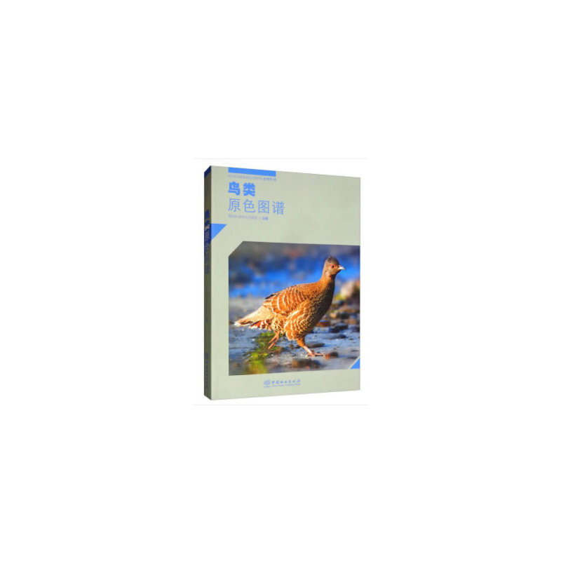 鸟类原色图谱/四川卧龙自然保护区系列丛书