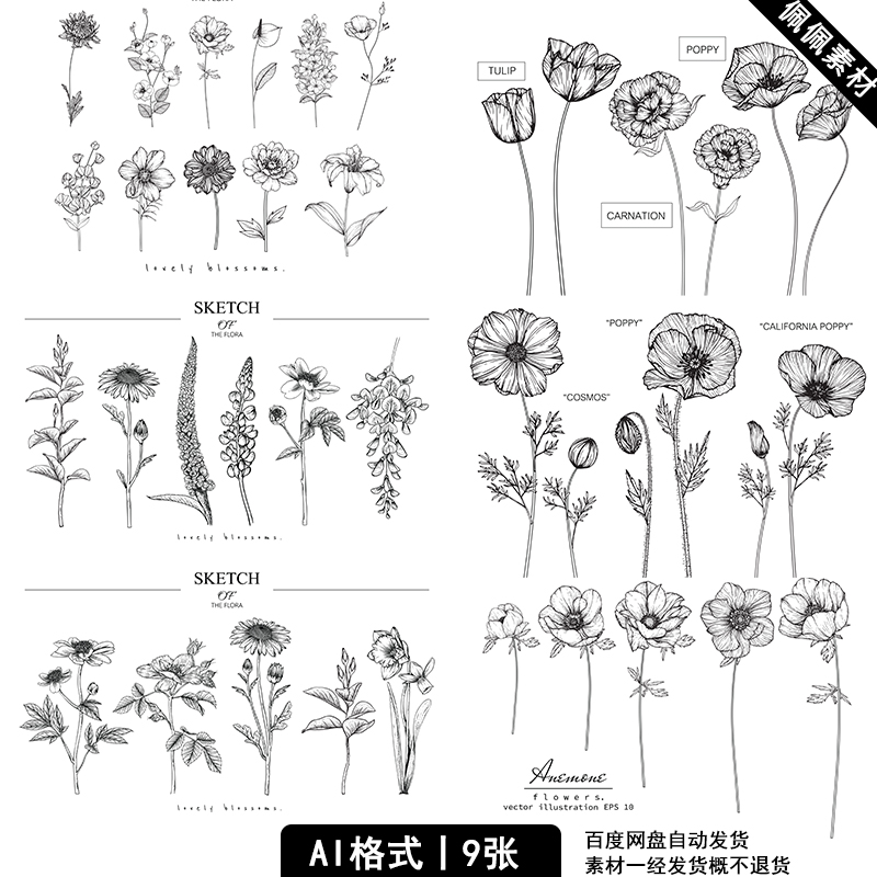 小香风复古黑白线描植物花卉花枝叶子插画生日婚礼设计矢量AI素材