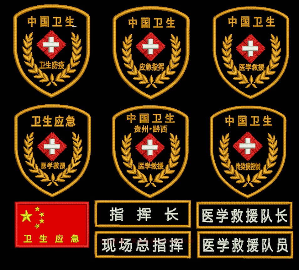 中国卫生应急医疗队伍卫生应急臂章胸标医学救援队长队员卫生肩章