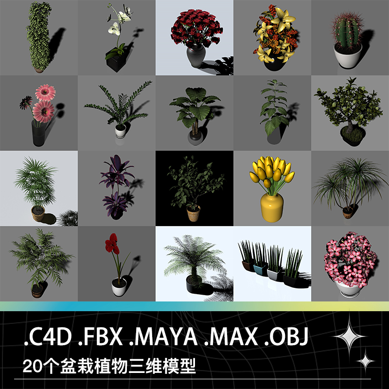 C4D FBX MAYA OBJ盆栽植物花卉仙人球玫瑰兰花郁金香铁树三维模型