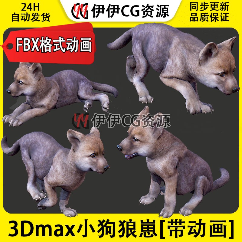 3DMax动物模型3D模型狼崽幼狼幼犬FBX动画文件3D狼狗小狗小狼wolf