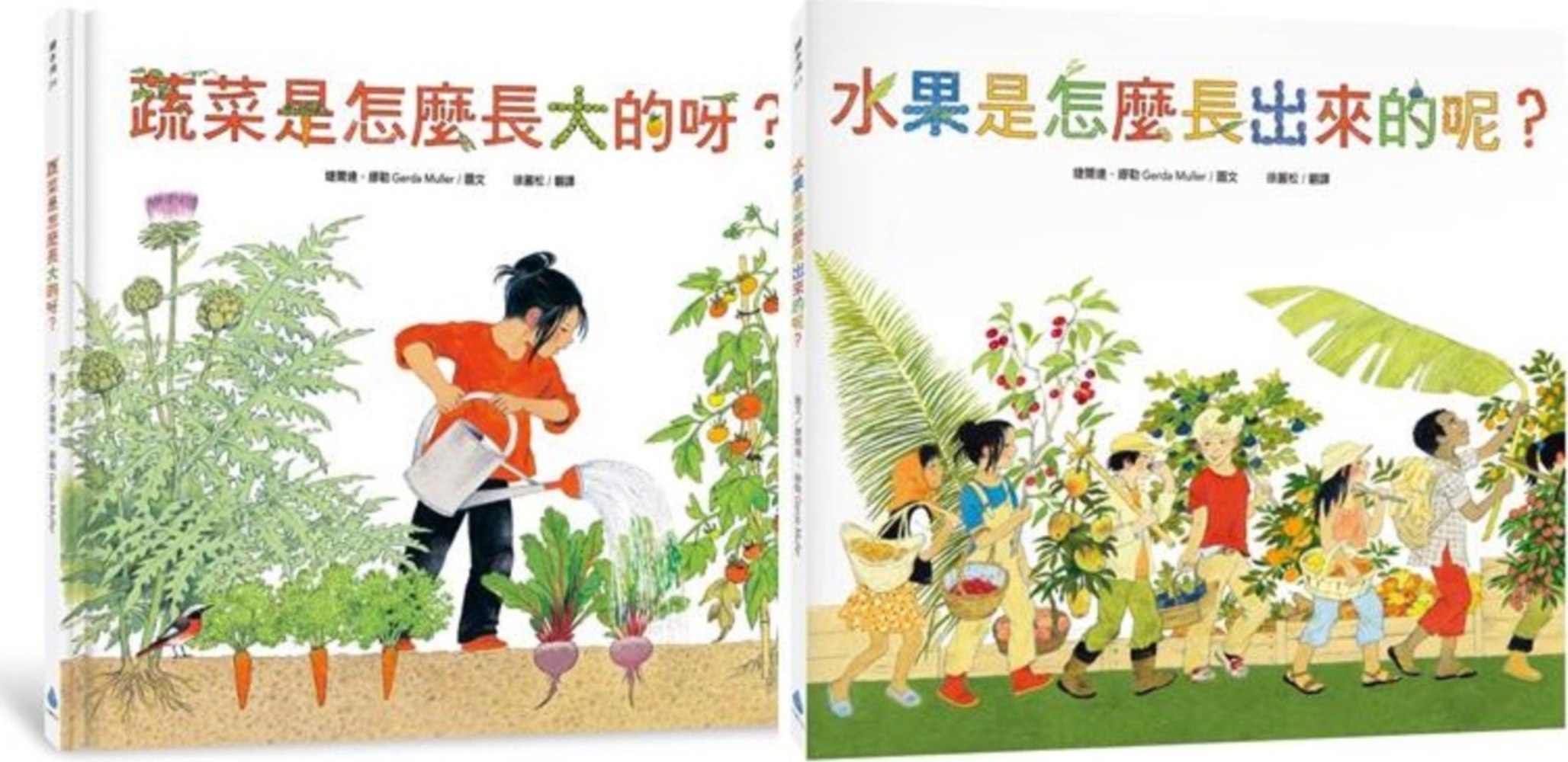 【预售】台版 食农教育小田园绘本套书（蔬菜是怎么长大的呀+水果是怎么长出来的呢）认识餐桌上的蔬果趣味插画绘本书籍