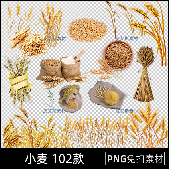 png免抠小麦大米麦穗稻谷高粱粮食农业农作物免扣PS设计素材