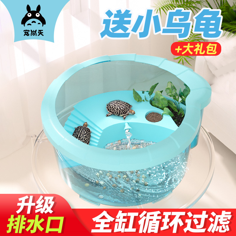 宠尚天 乌龟缸送2只小乌龟活体巴西龟中华草龟儿童宠物龟墨龟活物