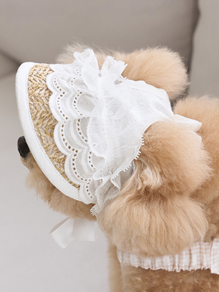 宠物法式草帽小型犬泰迪比熊露耳朵蕾丝遮阳帽可调节猫狗护目帽子