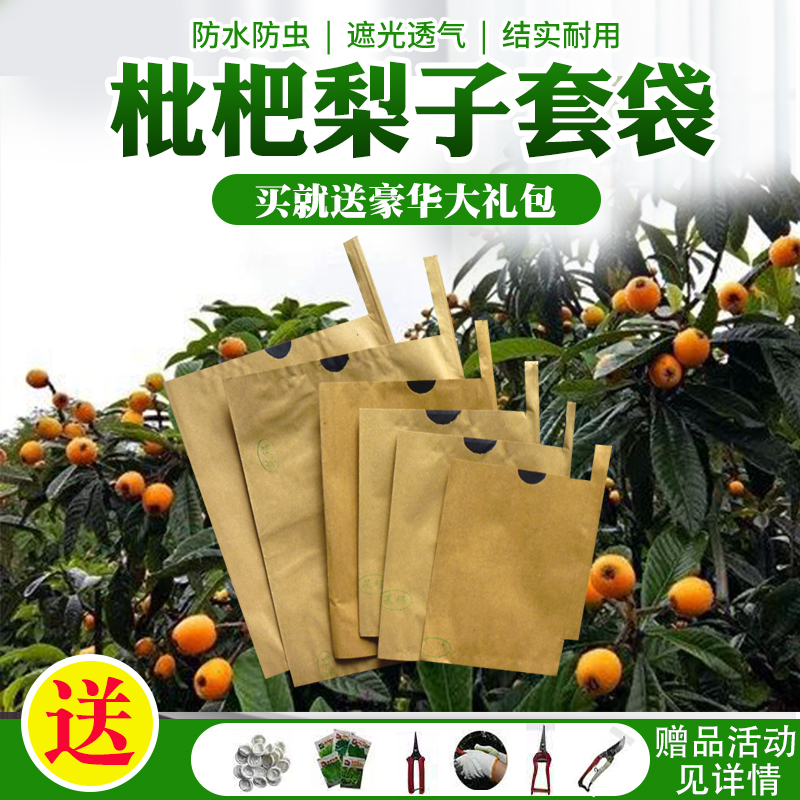 枇杷套袋专用袋柚子套袋枇杷果袋枇杷袋子梨袋芒果袋桃袋水果套袋