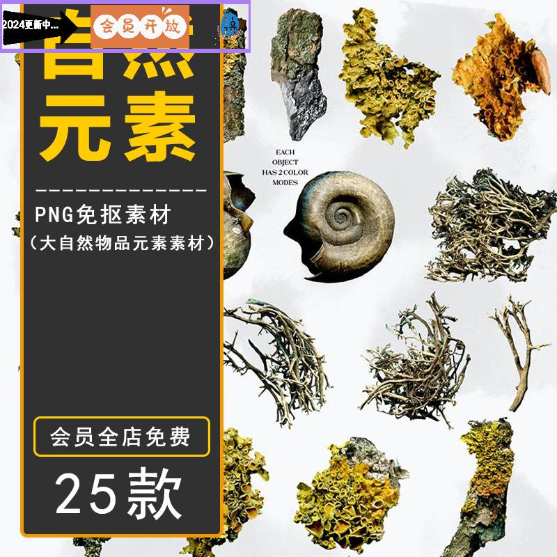 PS大自然绿色植物贝壳树枝木头菌类蘑菇PNG免抠图片海报设计素材