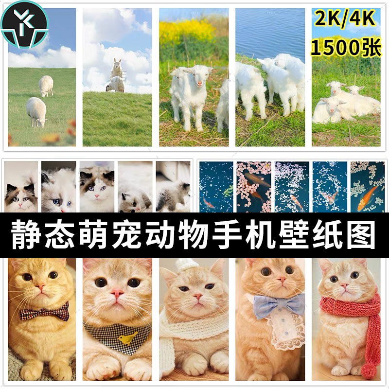 萌宠动物高清2K4K竖屏手机屏保壁纸海报广告背景图片平面设计素材