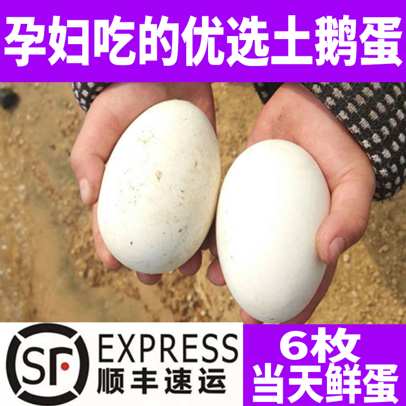 6枚孕妇吃的农家散养土鹅蛋大鹅蛋去胎毒笨鹅蛋当天鲜蛋现捡现发