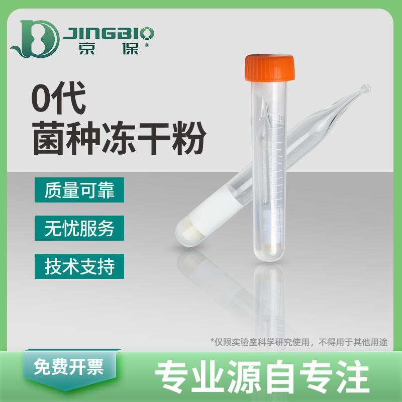 谷氨酸棒杆菌ATCC 21831冻干粉0代标准菌株 产L-精氨酸 北京现货