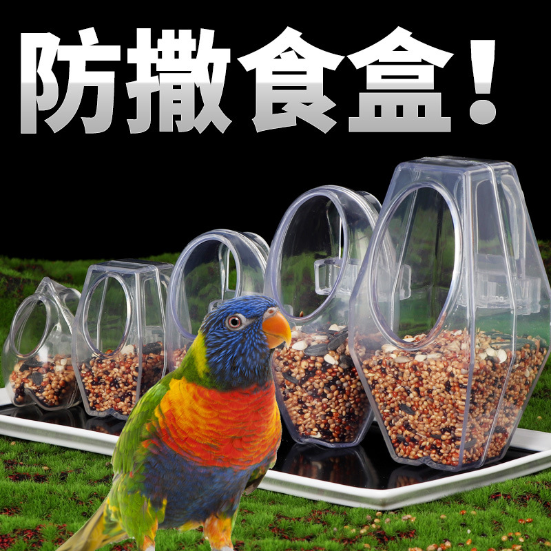 鸟王食具画眉八哥鸟用防撒食盒鸟食罐食碗自动喂食器下料器饮水器