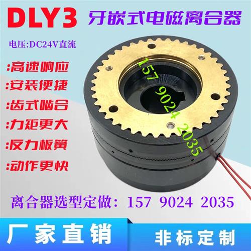 DLY3系列5A10A25A40A63A100A200A400牙嵌式电磁离合器替代三木546