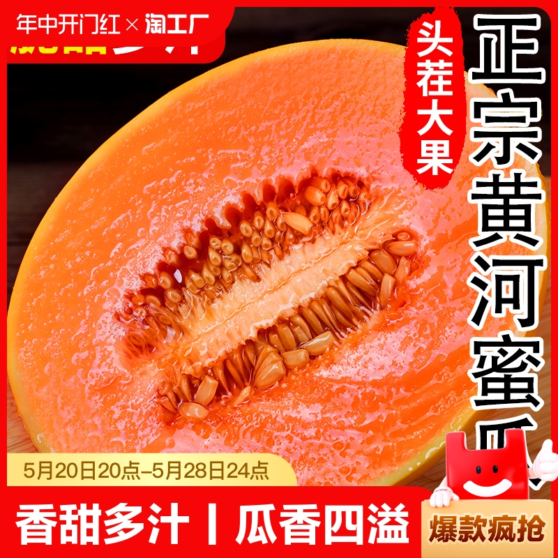 黄河蜜瓜甜瓜新鲜当季整箱10水果斤沙漠黄金哈密瓜香瓜羊角脆