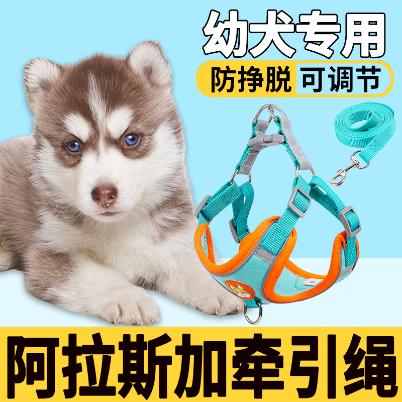 阿拉斯加幼犬专用狗狗牵引绳背心式项圈遛狗绳子小狗可调节狗链子