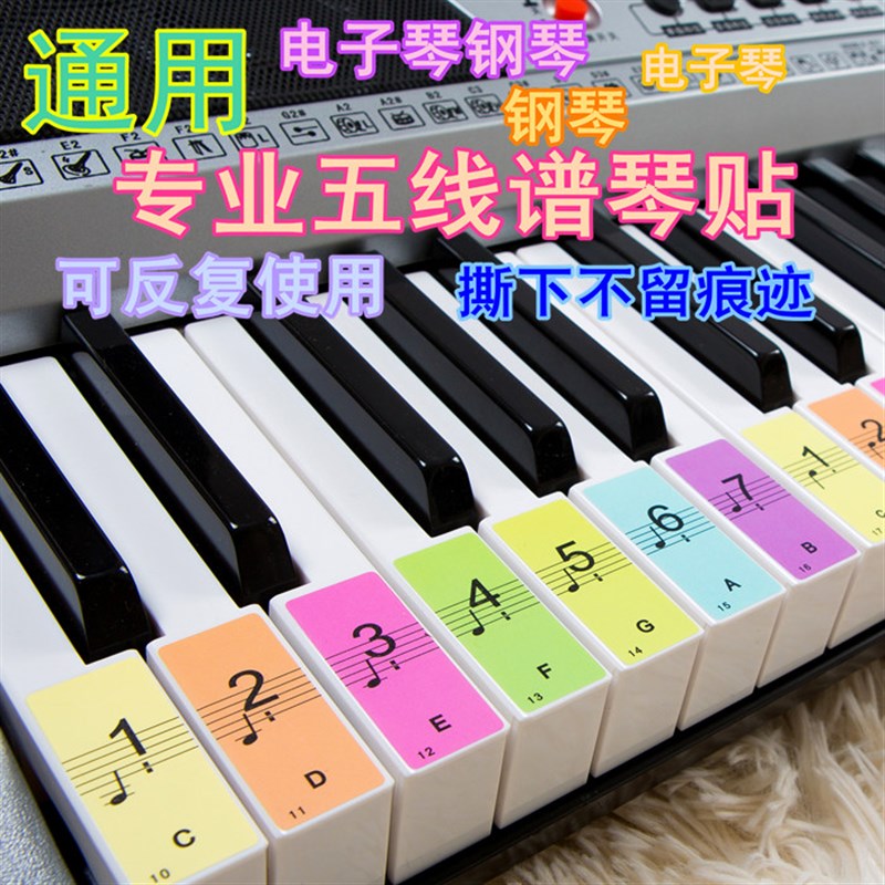 急速发货送黑键贴88-61-54 彩色五线谱简谱键位贴 电子琴琴贴钢琴