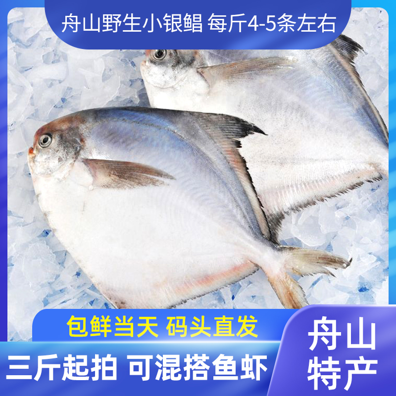 舟山野生新鲜鲳鱼白鲳渔海鲜深海鲳鱼鳊鱼1斤4-5条左右 3斤装