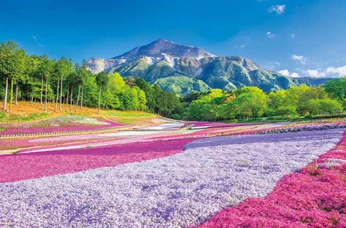 日本进口拼图_1000片 风景油画 春天的地毯羊山公园（埼玉）日本
