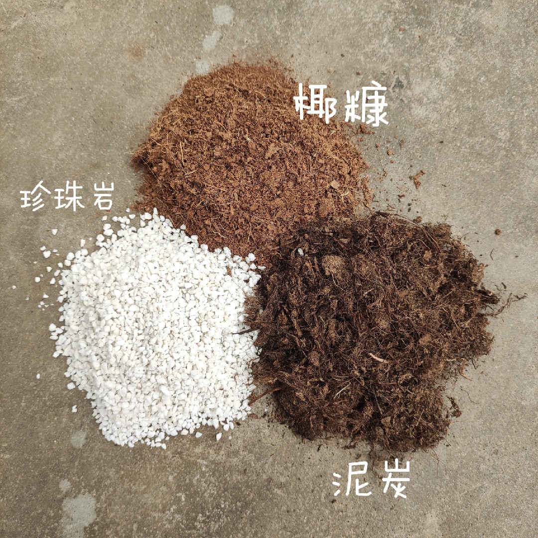 上海鲜花港 基质集合进口泥炭土营养土珍珠岩椰糠植物通用