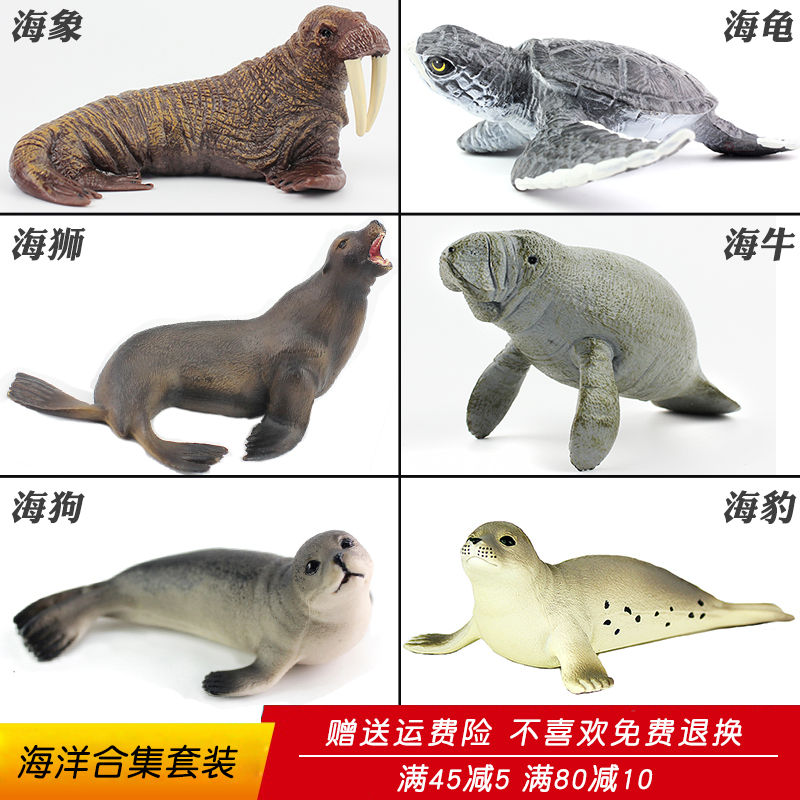 海豹海狗海狮的区别