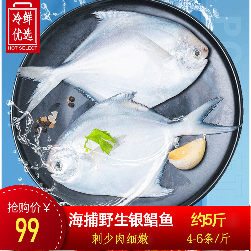 【5斤装】银鲳鱼新鲜冷冻冰鲜深海鱼鲜活大号白鲳鱼平鱼昌鱼海鲜