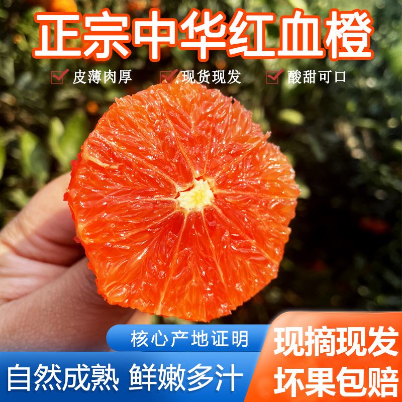 正宗湖北中华红橙新鲜孕妇水果当季现摘红心橙子整箱手剥血橙9斤