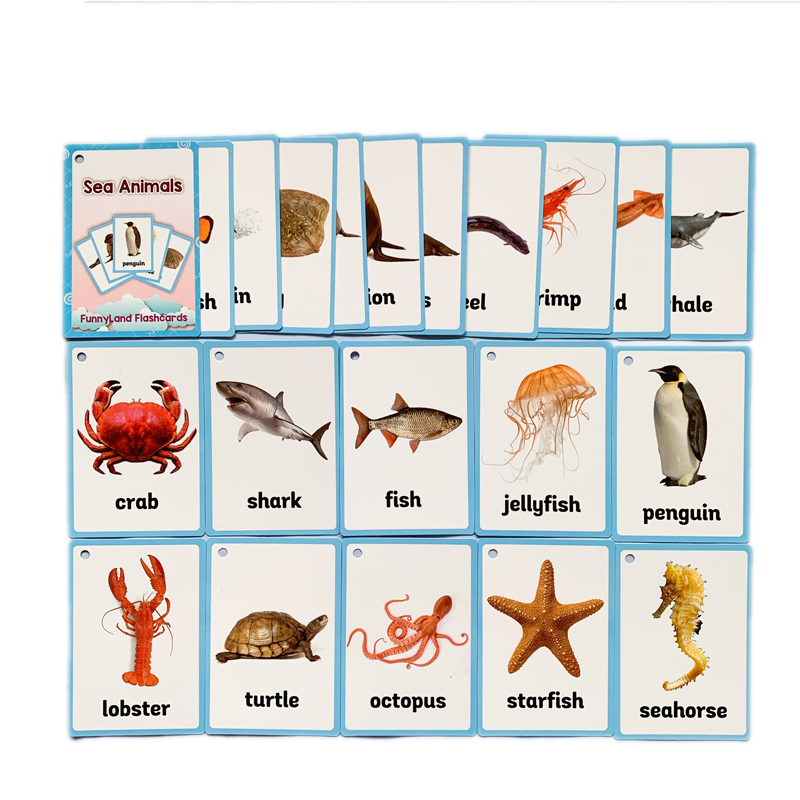 小达人点读animals野生海洋农场动物及昆虫动物身体部位英语分类