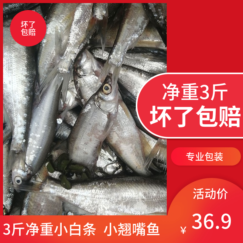 净重3斤新鲜小白条鱼现杀小翘嘴鱼刁子鱼淡水小河鱼杂鱼小餐条鱼