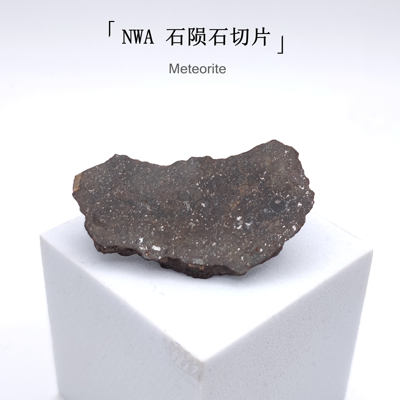 天然西北非石陨石切片教学标本原石科普收藏摆件星星礼物镍铁陨石