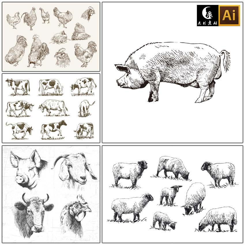 手绘线描素描家禽家畜鸡奶牛羊猪兔子动物矢量图片设计素材