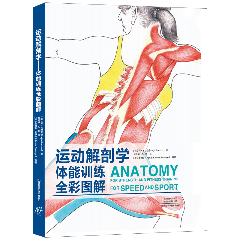 【书】运动解剖学图谱体能训练全彩图解 人体解刨学肌肉解刨图解 体能训练学肌肉健美训练图解体适能健身书籍大全