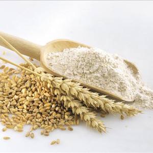 甘肃武威原味古浪特产美食小吃农家自种新收小麦现磨劲道新鲜面粉