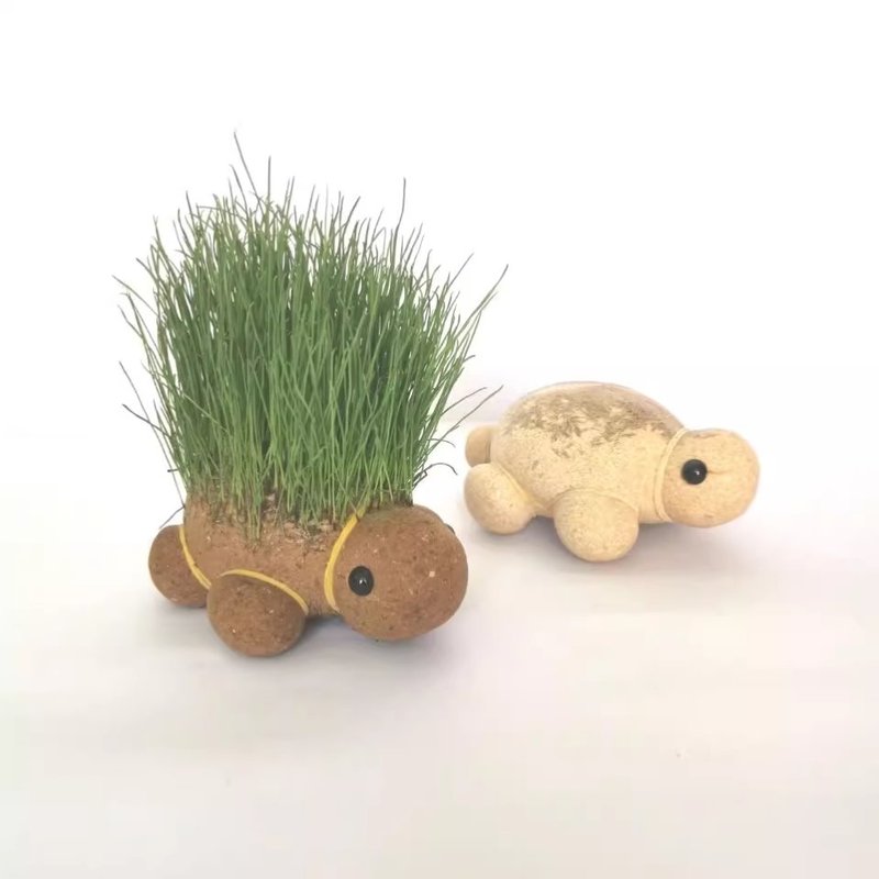 。草头娃娃小盆栽头上浇水长草的植物公仔头发创意可爱乌龟背上绿
