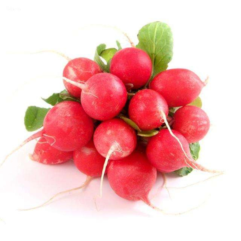 樱桃萝卜种子红心阳台盆栽红色水小萝卜杂交籽蔬菜四季播包邮种子