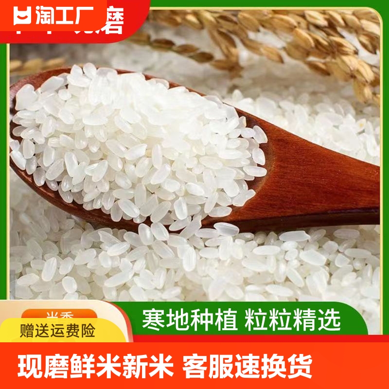 掌中禾2023年新米鲜活大米东北大米10斤圆粒珍珠米粳米5kg小包装