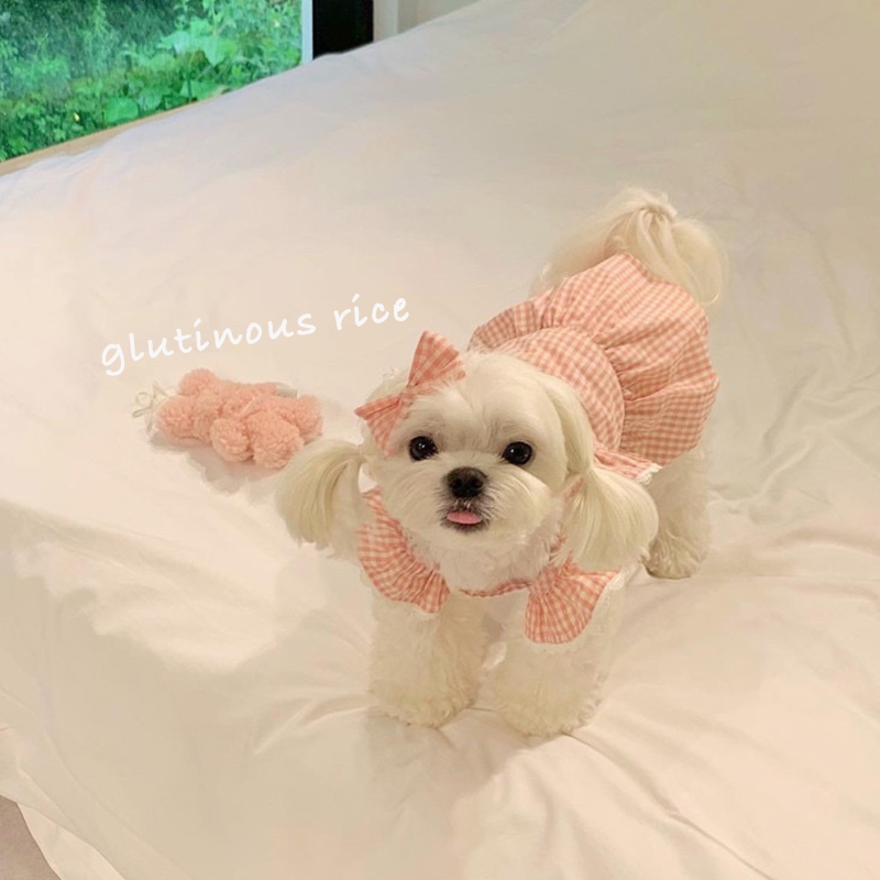 狗狗衣服连衣裙粉色格子宠物服装猫咪韩系公主裙泰迪比熊小型犬猫
