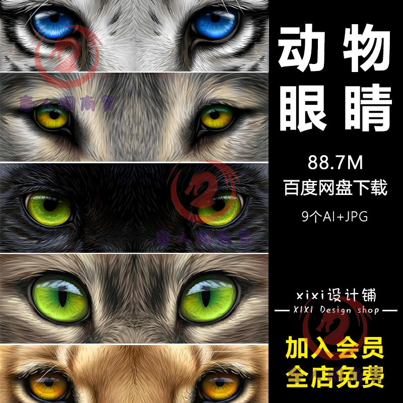 DWJ9野兽猫科动物眼睛特写老虎狼豹子眼球眼神图片矢量设计素材AI