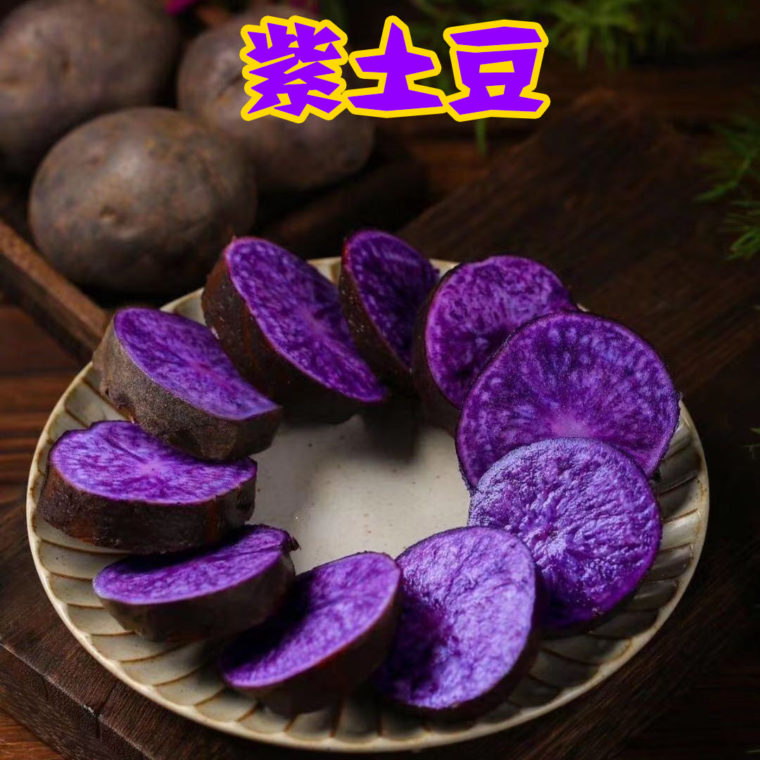 丽江紫洋芋