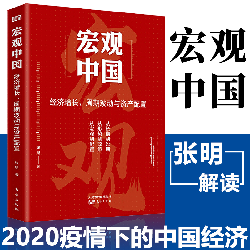 宏观中国 张明著 2020年中国经济发展经济增长周期波动与资产配置宏观经济发展趋势研究经济理论知识通俗读物经济危机东方出版社