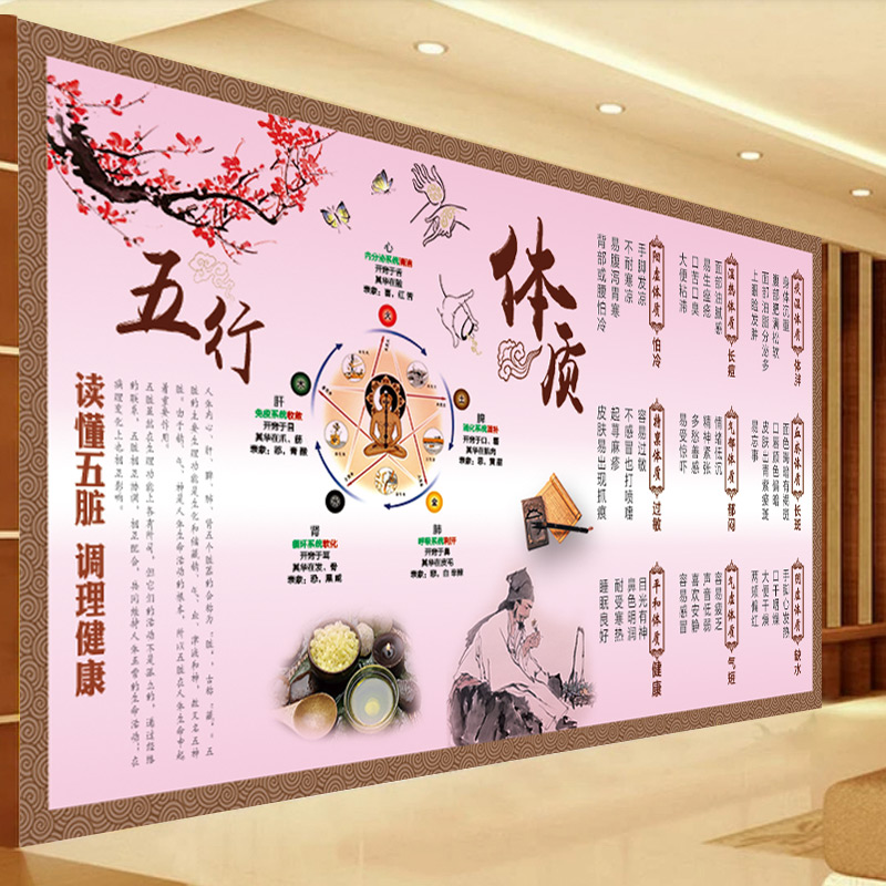 中医九种体质墙纸保健养生馆樱粉系装饰壁画五行体质文化宣传壁纸