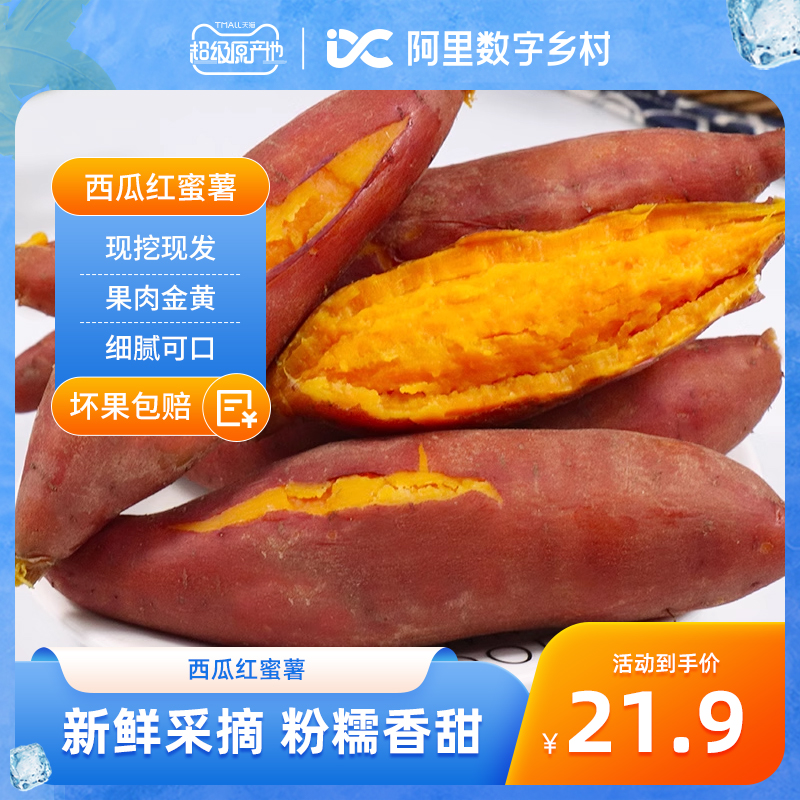 【数乡宝藏】西瓜红蜜薯4.5斤新鲜红薯农家自种红心地瓜糖心红薯a