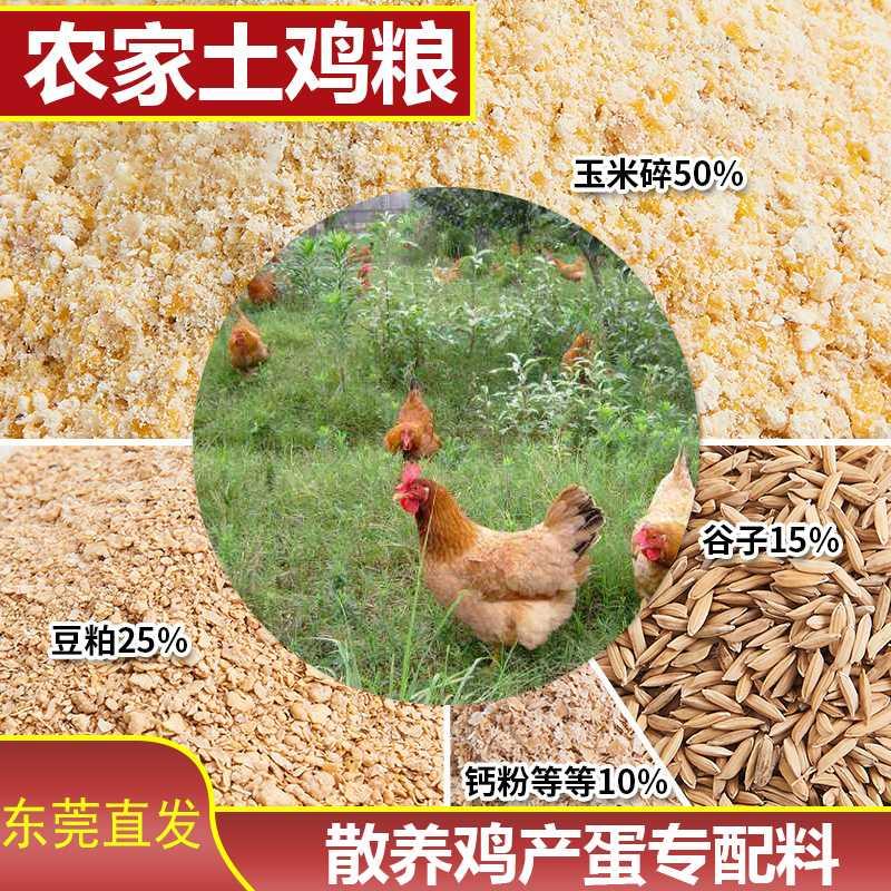 玉米碎麦麸豆粕稻谷母鸡农家散养鸭鹅禽混合饲料养殖场用纯粮