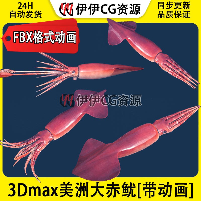 3D模型3DMax动物模型美洲大赤鱿squid章鱼鱿鱼乌贼FBX动画文件海