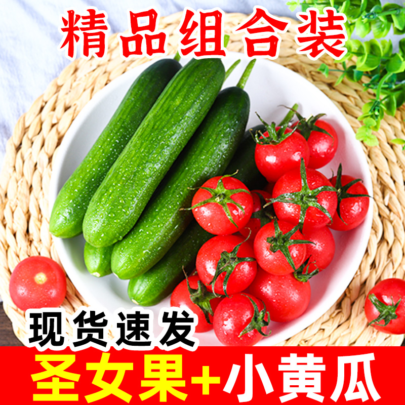 【丰网速运】圣女果小黄瓜组合装青瓜小番茄新鲜西红柿子生吃5斤