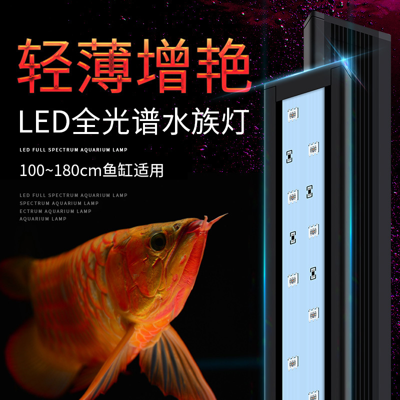 鱼缸水族箱白光照明LED灯造景灯龙鱼血鹦鹉灯蓝白全光谱增色鱼灯