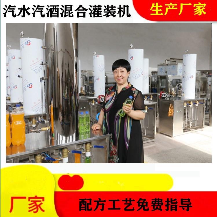 出口国外的饮料生产设备带气果汁功能饮料低度苏打酒混合灌装机械