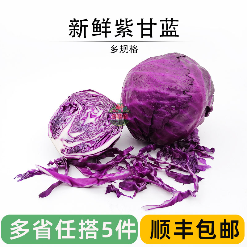 新鲜紫甘蓝 紫包菜紫色卷心菜 健身西餐沙拉食材榨汁农家蔬菜800g