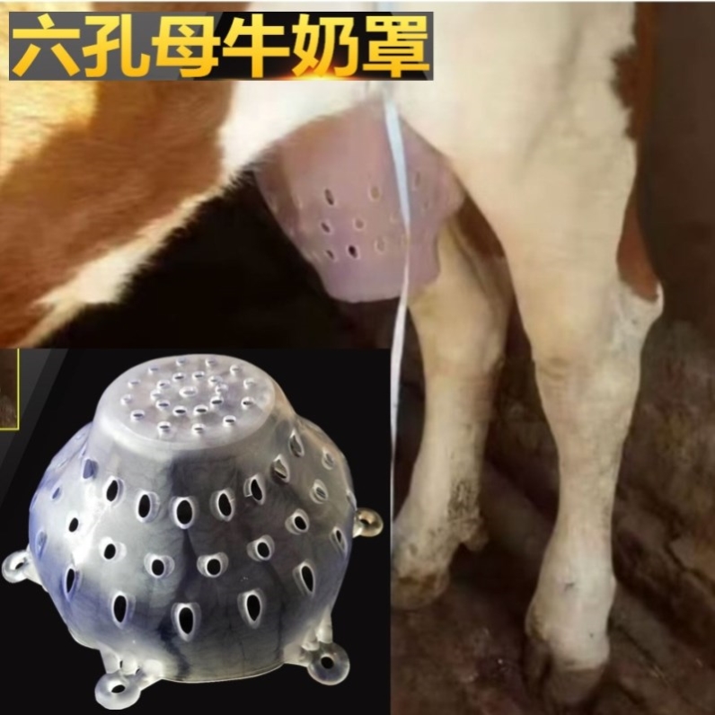 牛犊子刺钳兽用小牛忌奶器母牛乳罩替代牛鼻刺牛用断奶神器牛用品