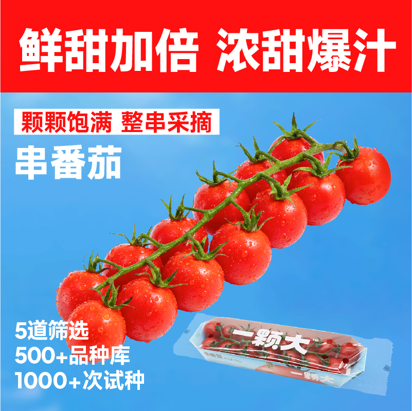 一颗大 串爽樱桃番茄198g生吃小西红柿圣女果脆甜新鲜水果顺丰