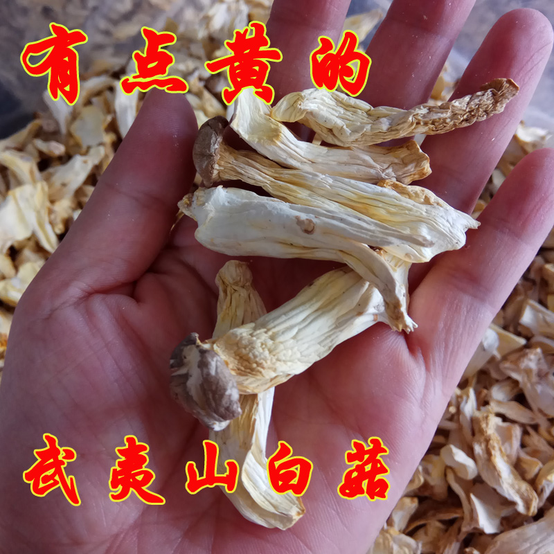 福建武夷山茶花菇长寿菇白菇鸡鸡菇干货土特产姑奶奶食用菌500克
