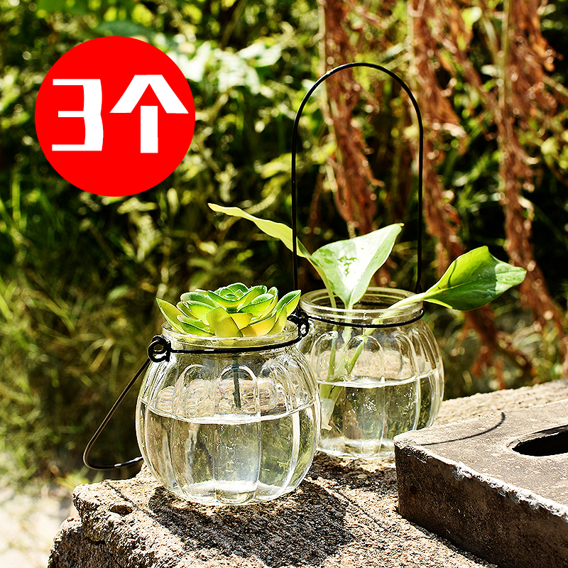 3个铜钱草玻璃花瓶观叶观根植物吊瓶子水培植物容器水生水养绿萝